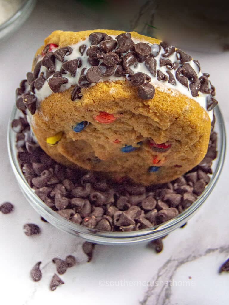 chocolate chips on sides of ice cream sandwich