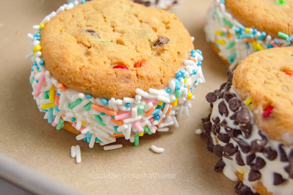 sprinkles ice cream sandwich