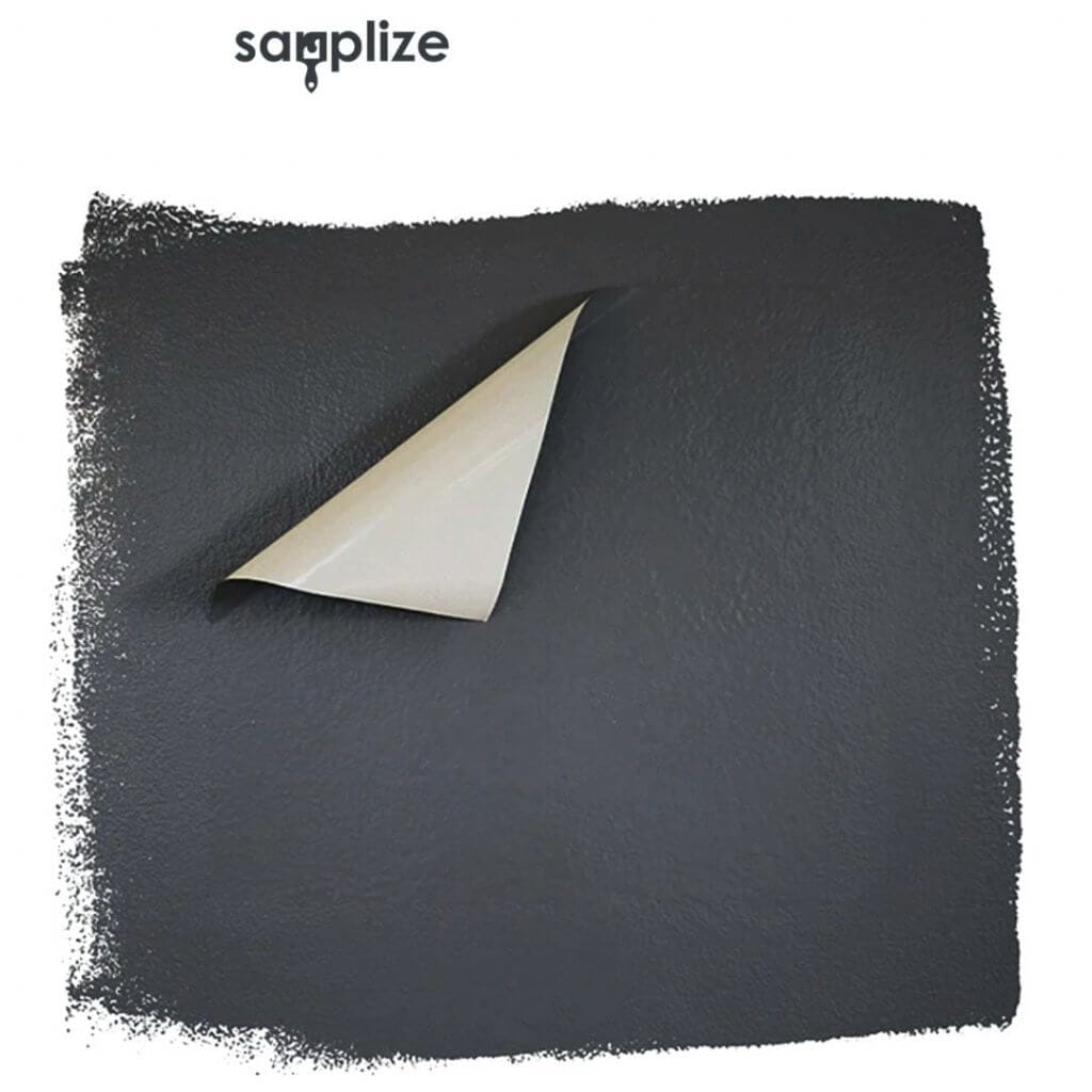 samplize image of paint sample