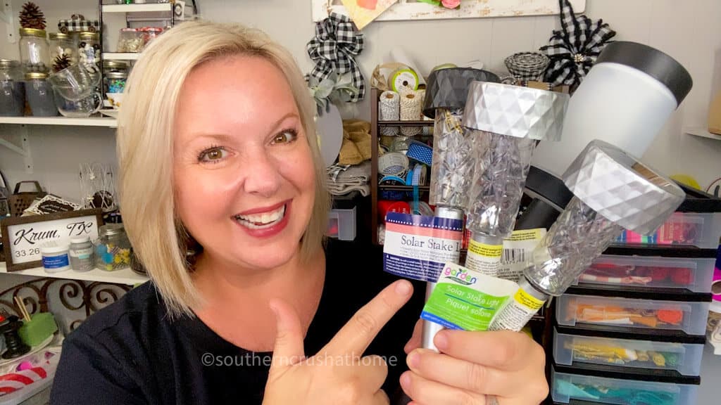 Melanie holding Dollar Tree solar light