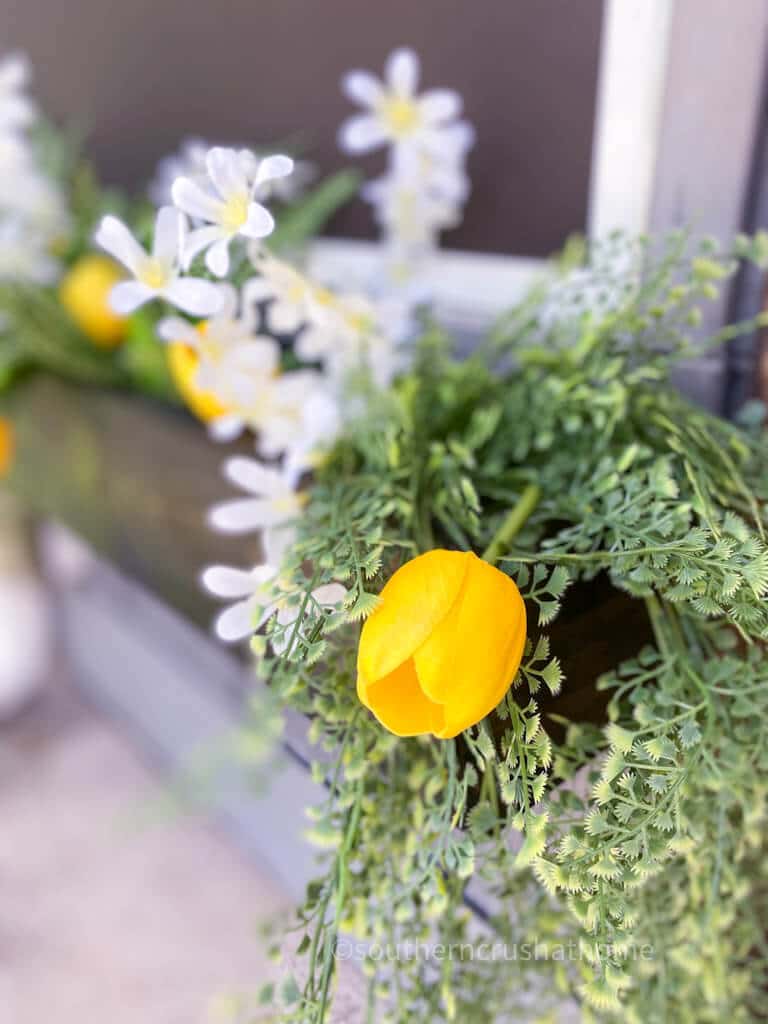 close up of flowers in planter box