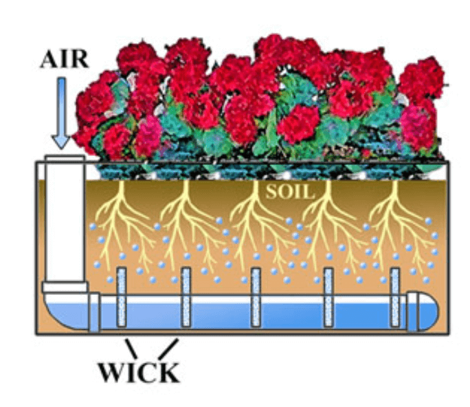 selfwatering planter box diagram