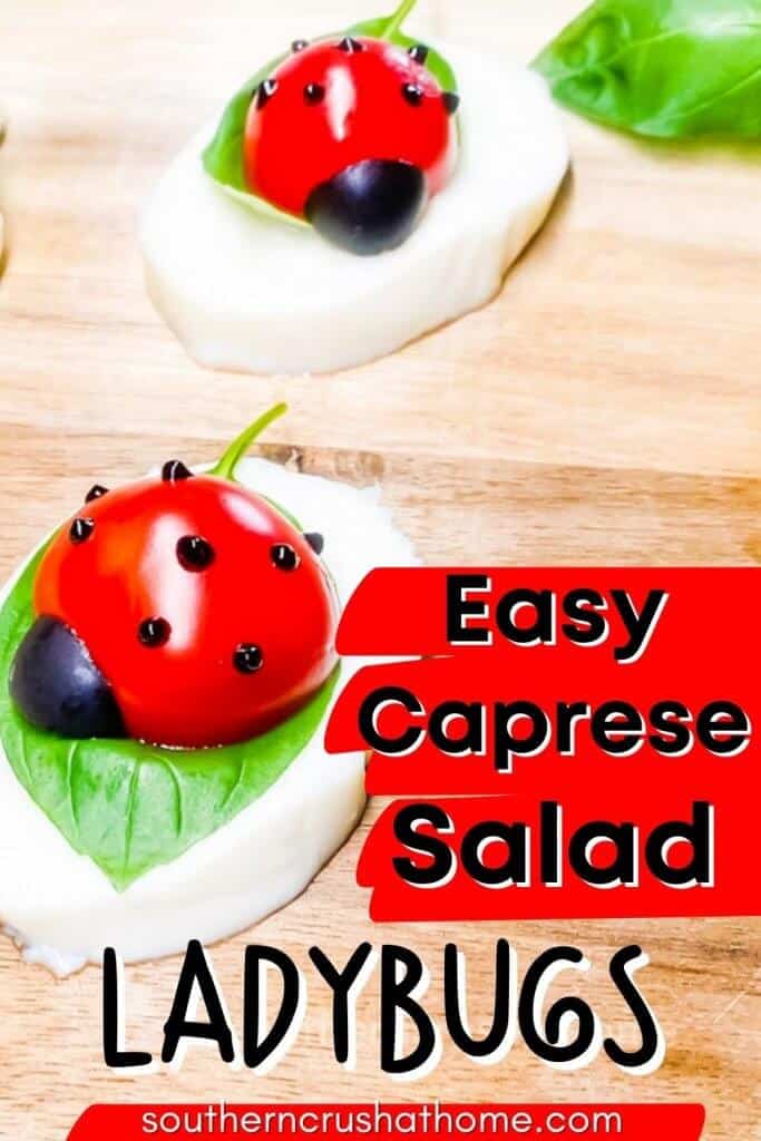 Ladybug Caprese Salad PIN