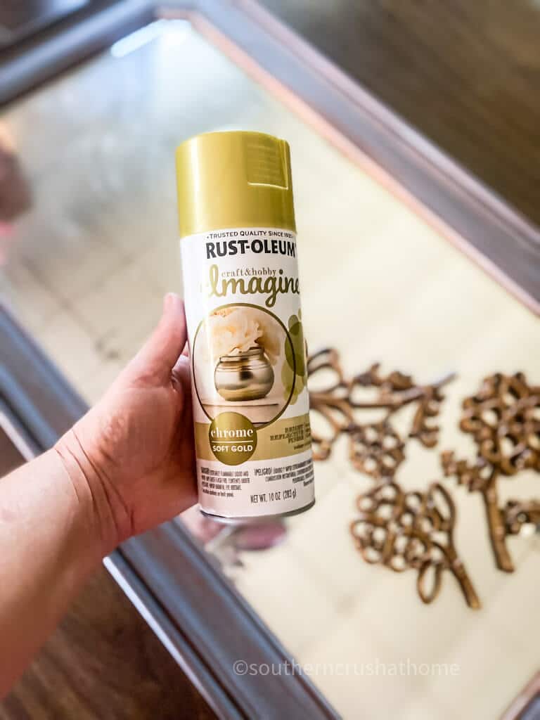 Rustoleum Imagine soft gold chrome spray paint