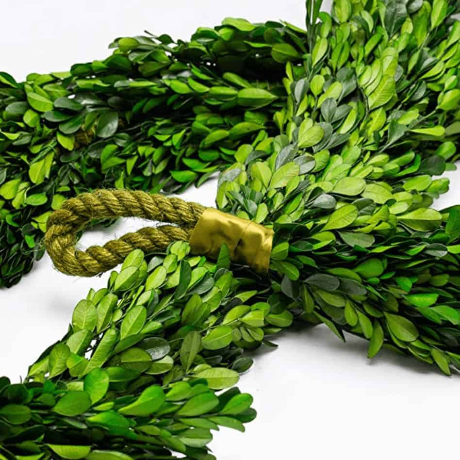 Preserved Boxwood Garland