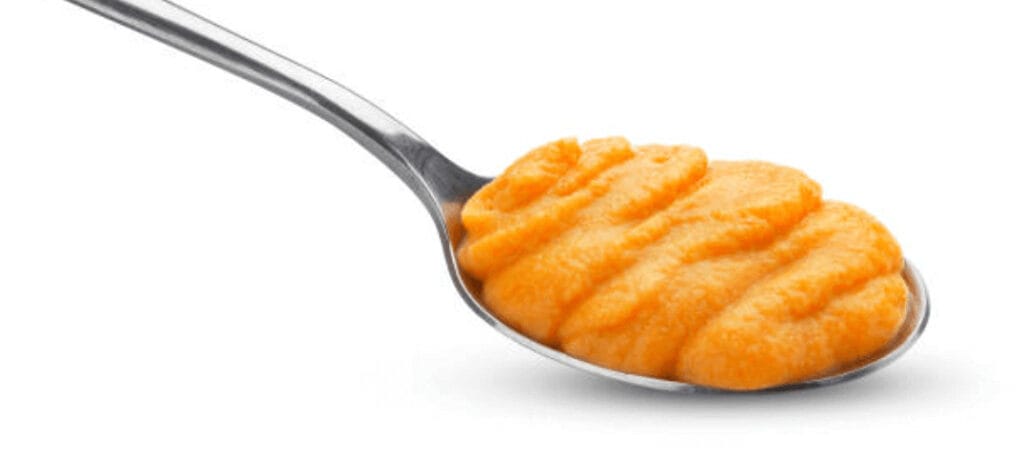 pumpkin puree on a spoon