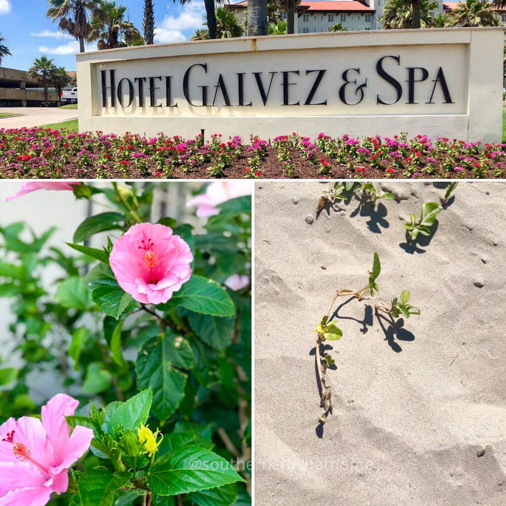 original hotel galvez sign