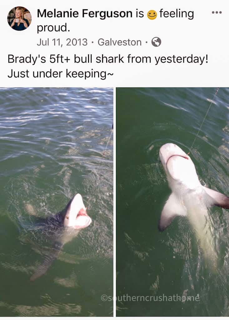 5 ft shark in galveston