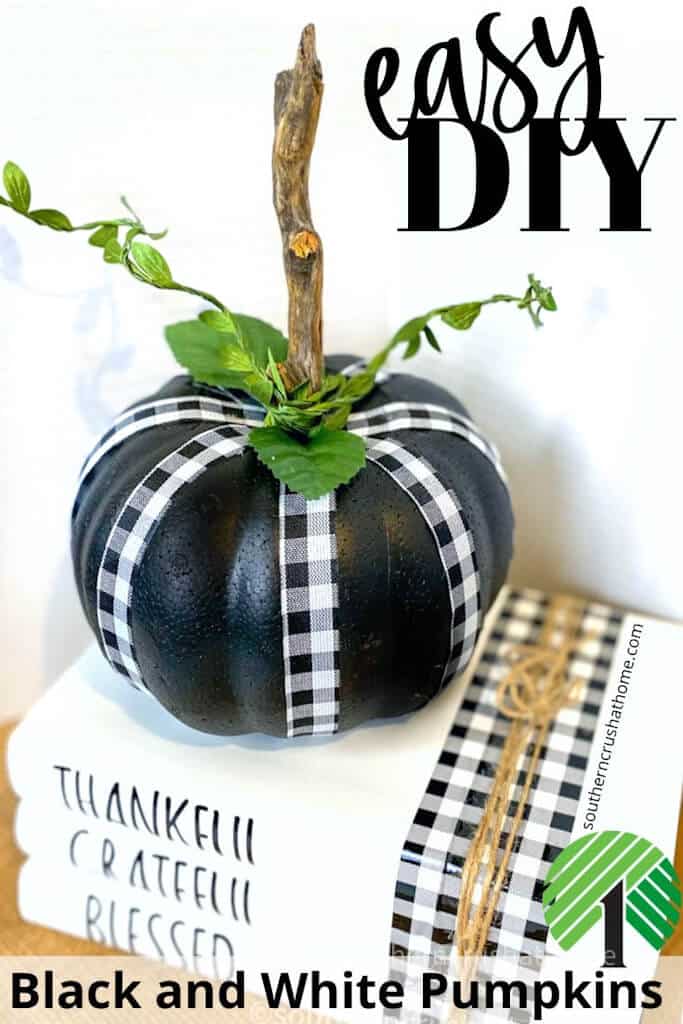 Black and White Pumpkins Pin 