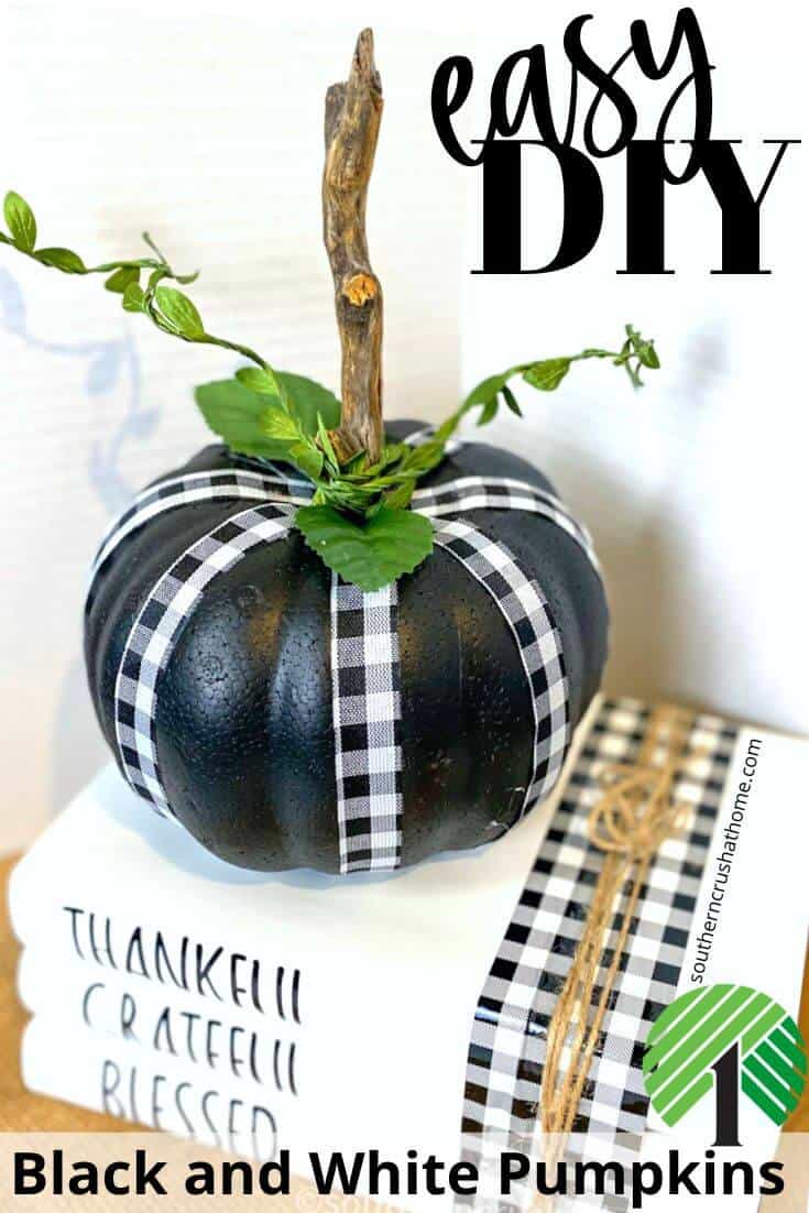 Black and White Pumpkins Pin