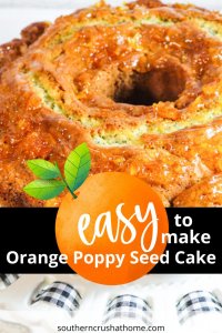 Orange Poppy Seed Cake Pin