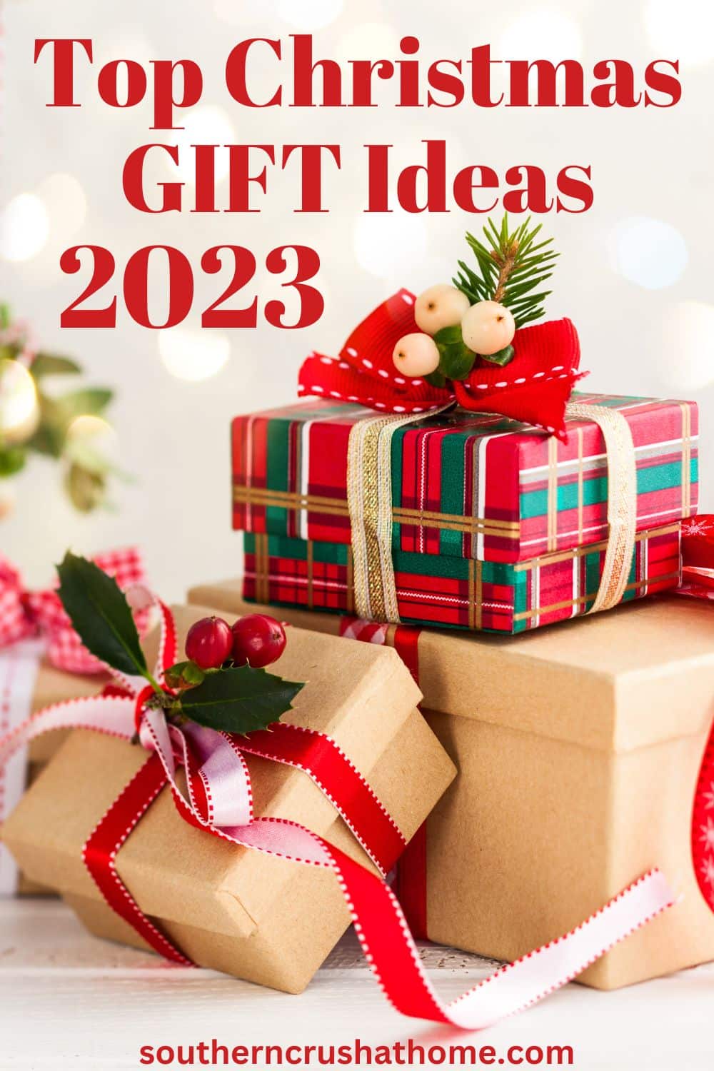 Top Christmas Gift Ideas PIN