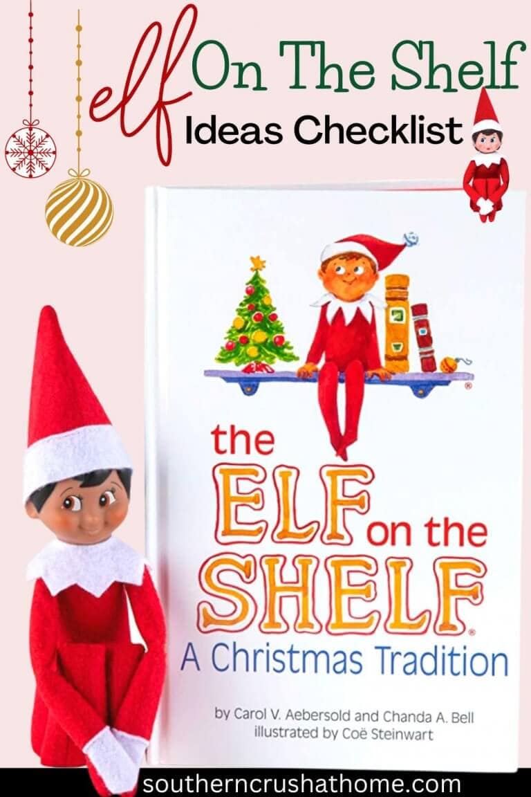elf on the shelf ideas PIN