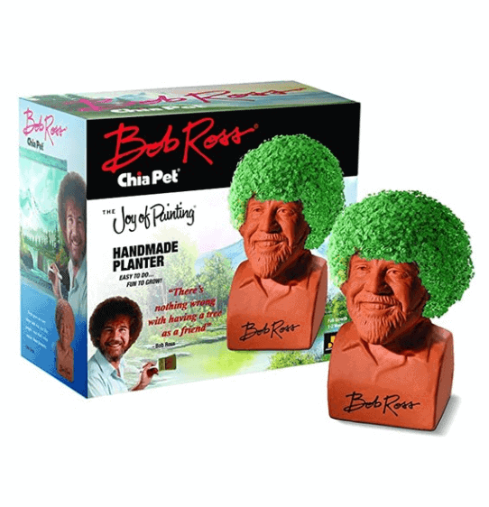 bob ross chia head plant