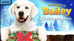 Bailey Christmas