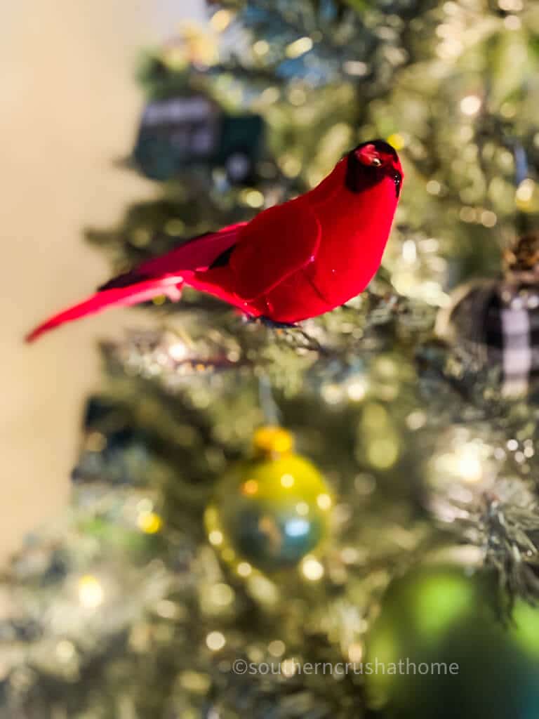 If You See a Cardinal at Christmas, Here's What it Can Mean