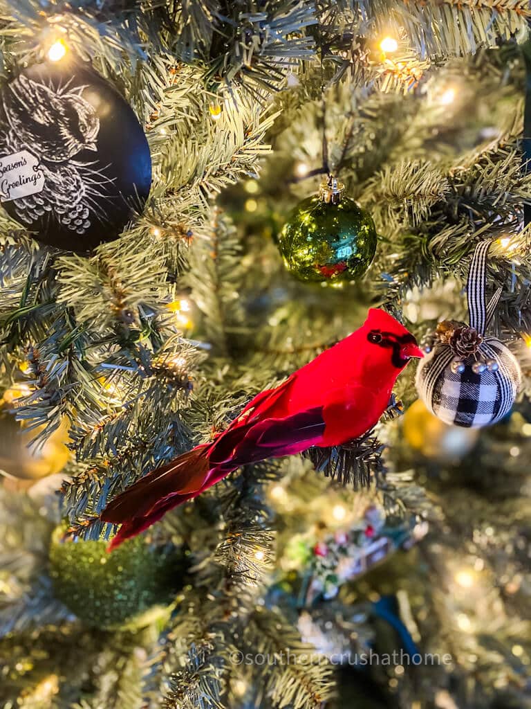 cardinal on christmas tree branch