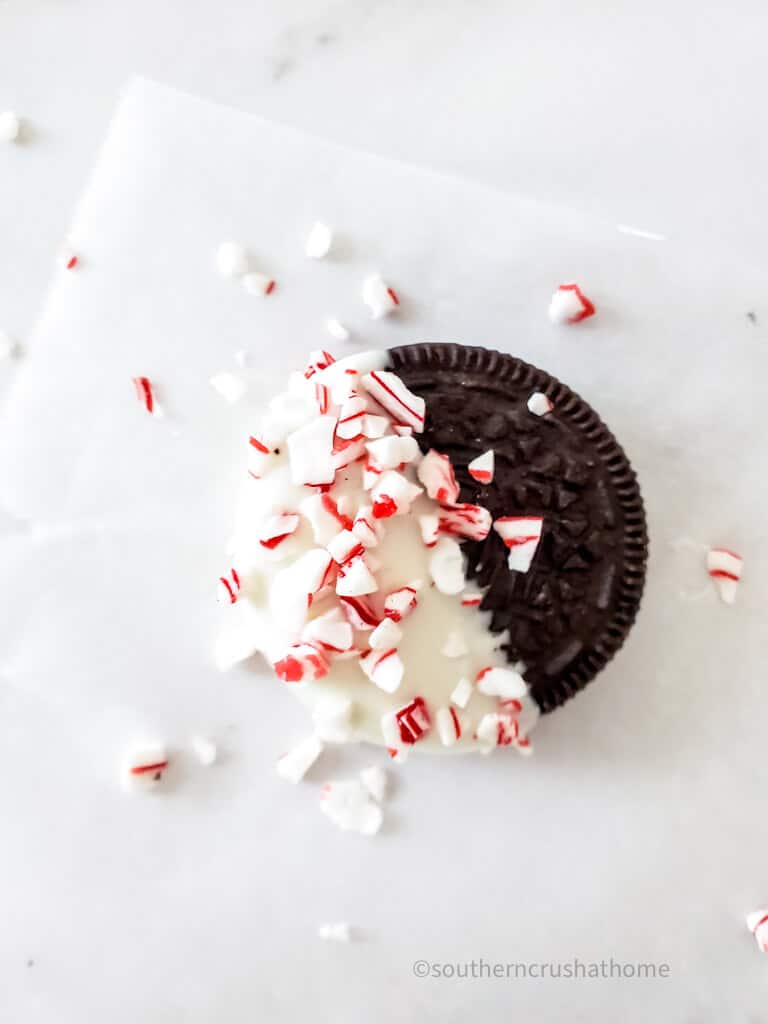 peppermint candy sprinkled on white chocolate dipped oreo