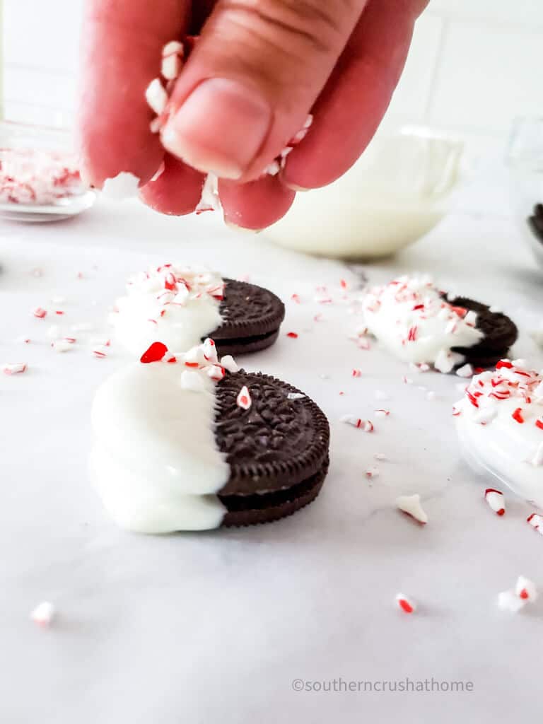 sprinkling peppermint candies on white chocolated covered oreos