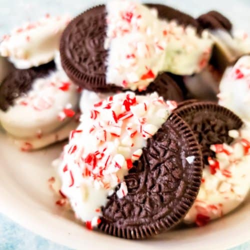 close up of white chocolate covered oreos with peppermint candies
