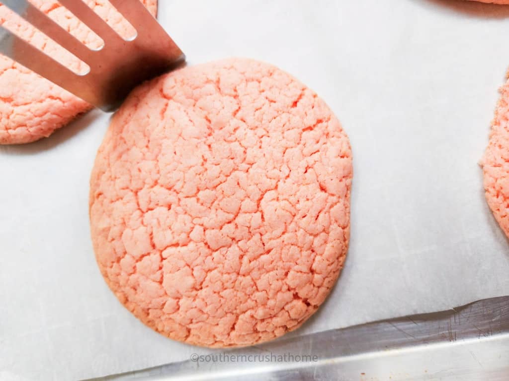 spatula with cake cookie