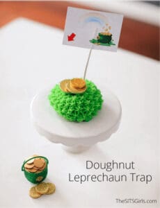 leprechaun trap ideas the sists girls