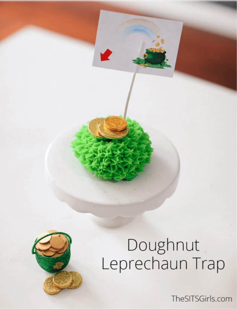 leprechaun trap ideas the sists girls