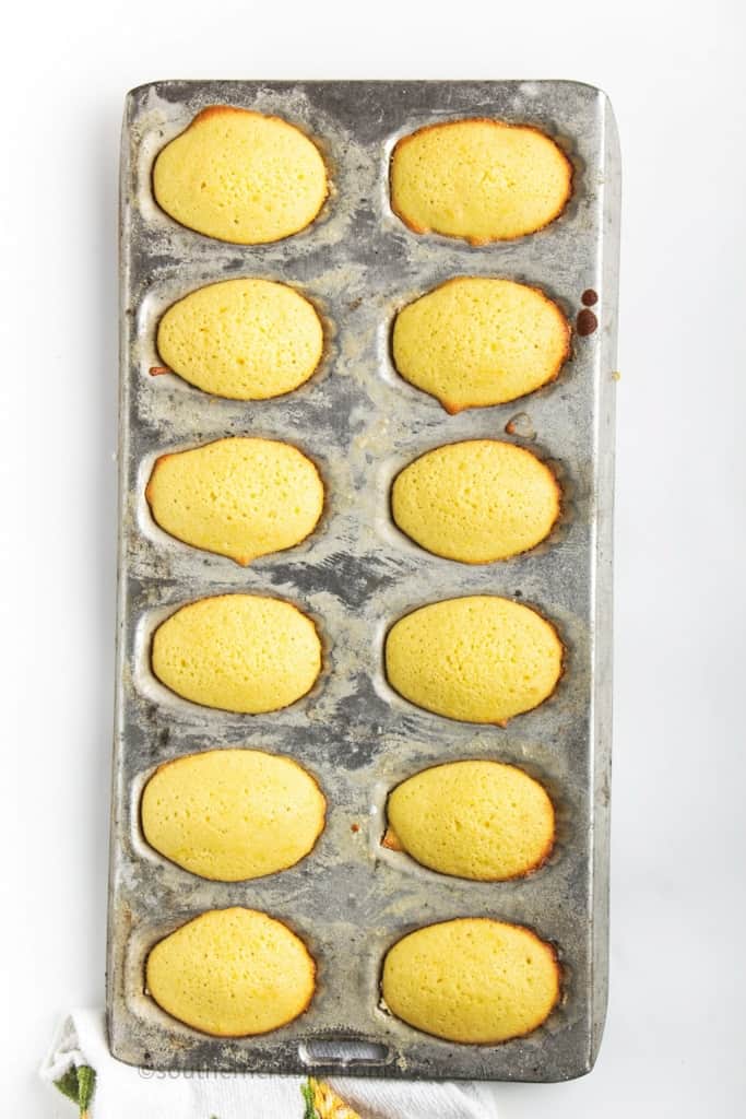 baked Madeleine Cookies in baking pan
