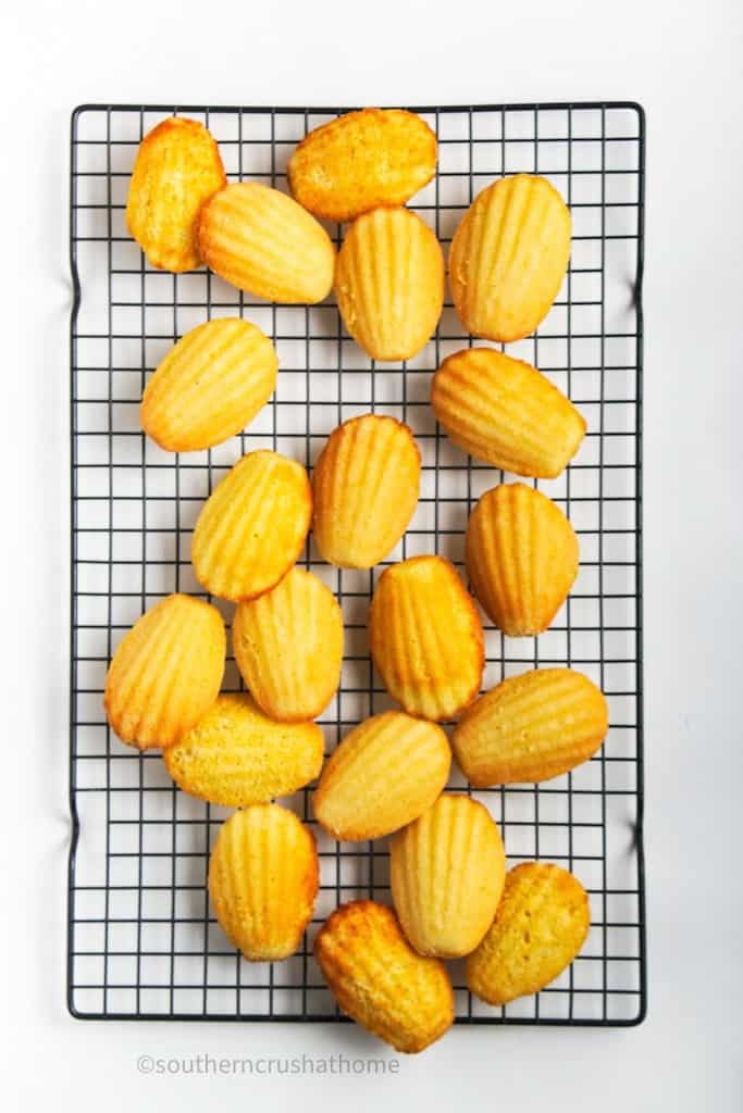 Madeleine Cookies on cooling wire rack