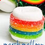 Rainbow Marshmallow Treats PIN