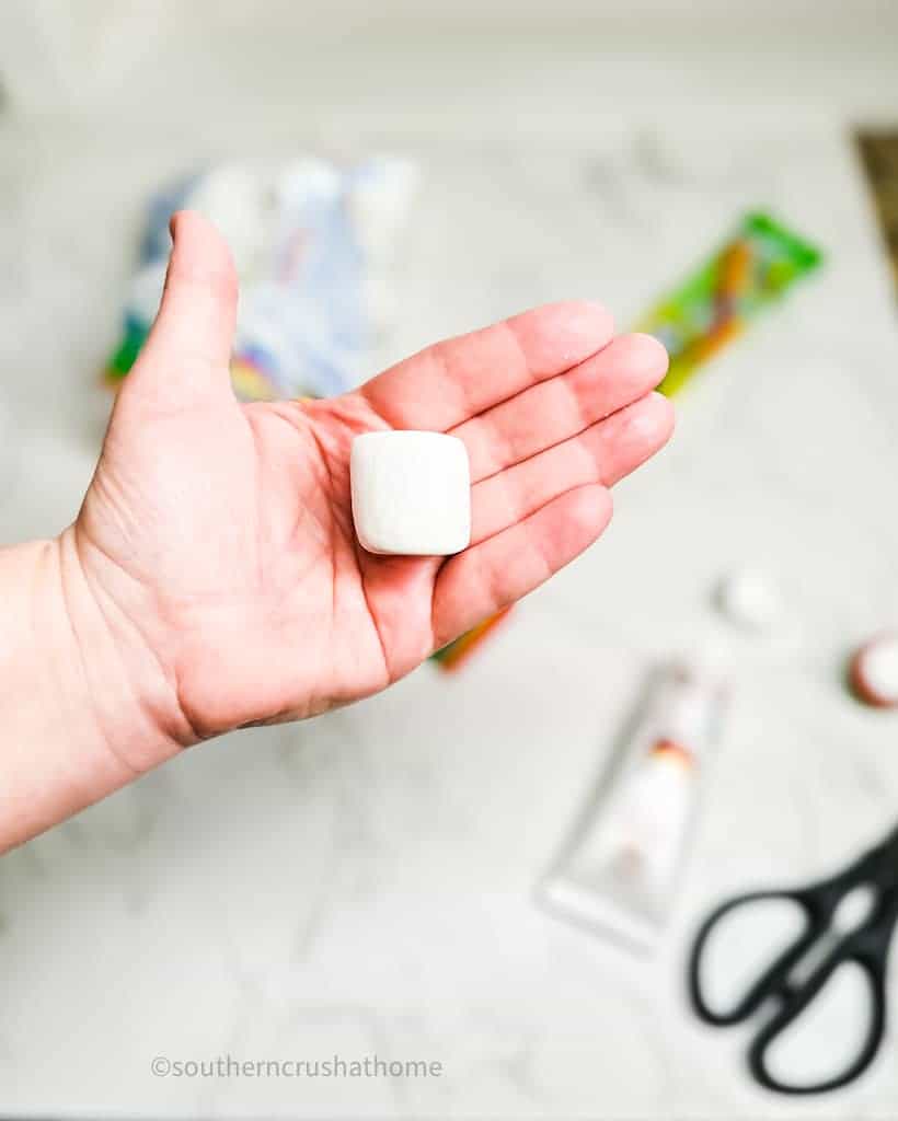 marshmallow in hand