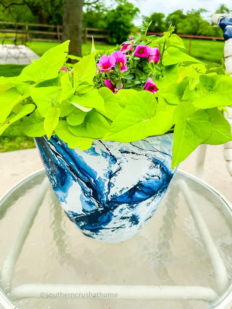 modern planter with navy blue hydro dipping