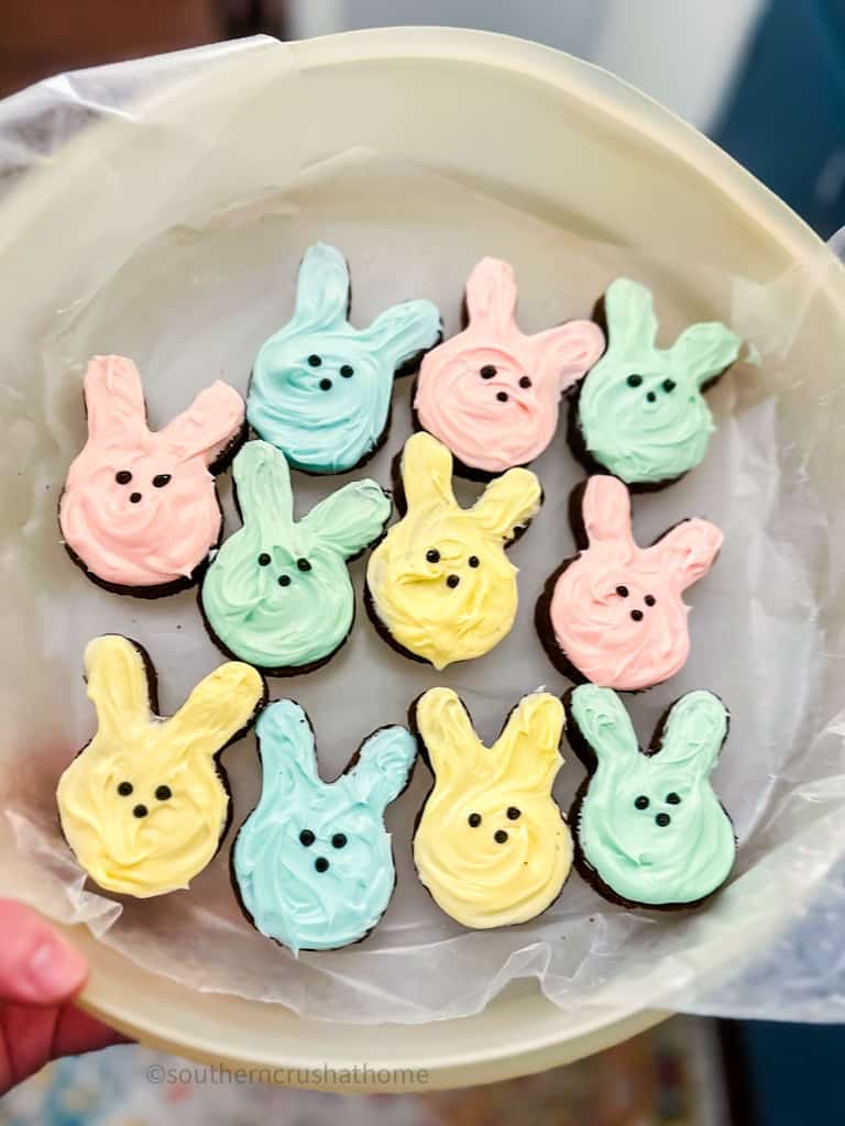 tupperware with brownie bunnies