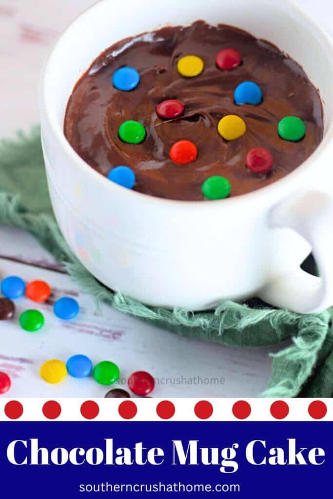 Chocolate Mug Cake With M&Ms