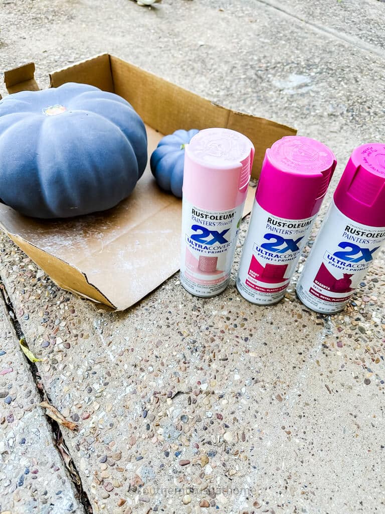 supplies for Barbie Pink Pumpkin