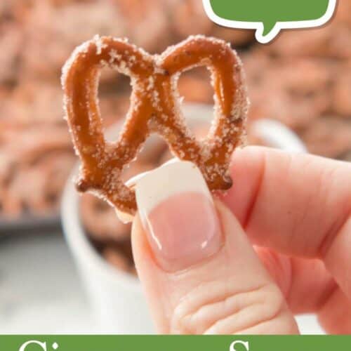 Cinnamon Sugar Pretzel PIN