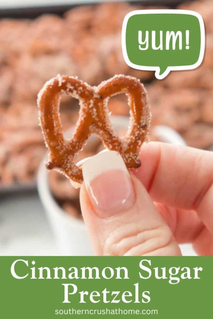 Cinnamon Sugar Pretzel PIN 