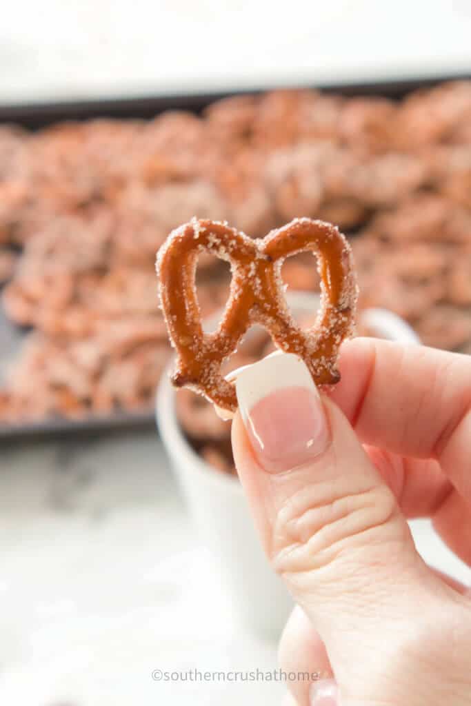 holding a cinnamon sugar pretzel