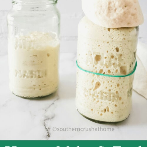 Sourdough Starter PIN