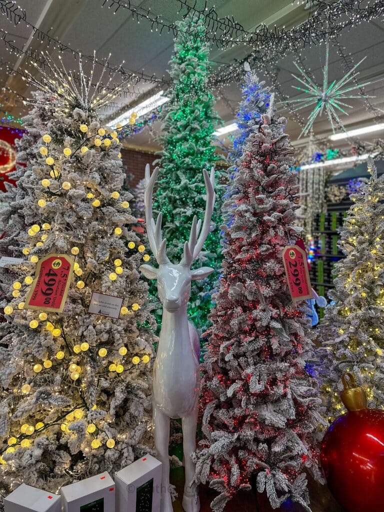 christmas trees at decorators warehouse