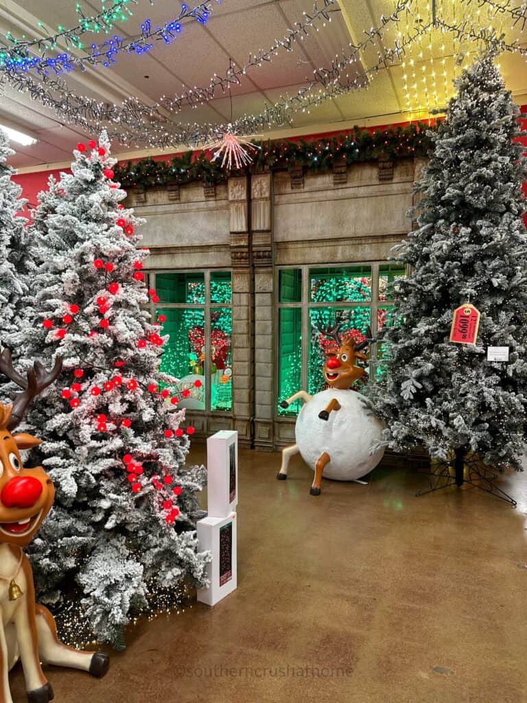 christmas trees on display