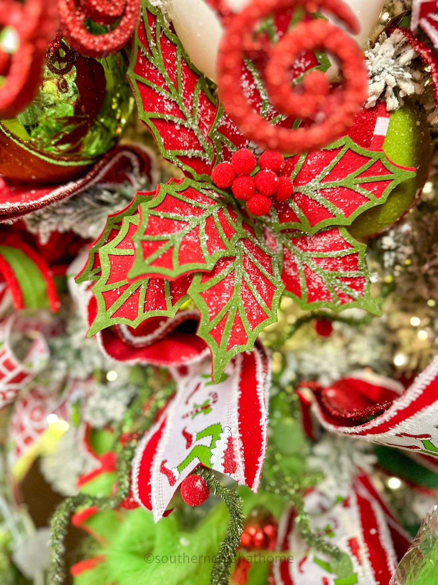 bright red and green poinsettia