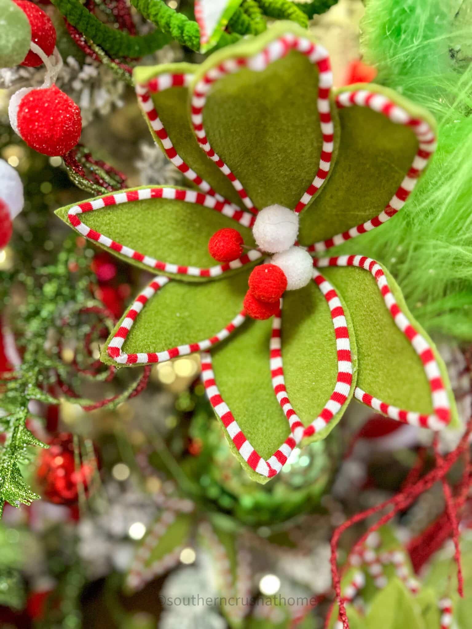 red and green poinsettia