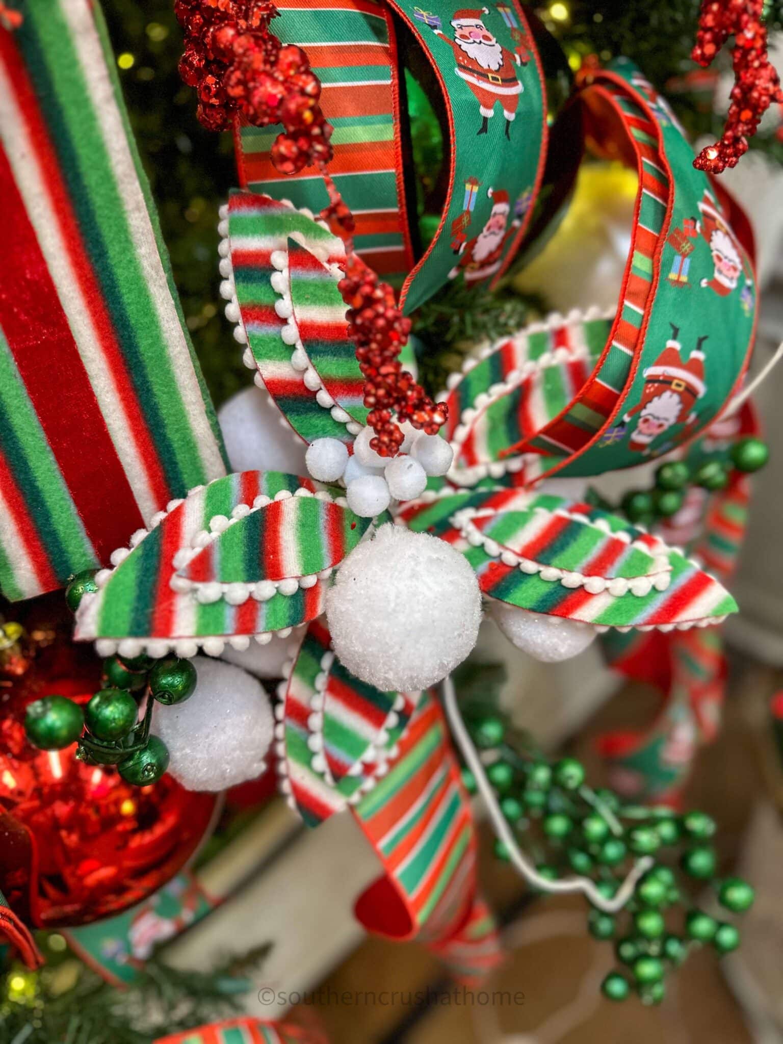 striped poinsettia