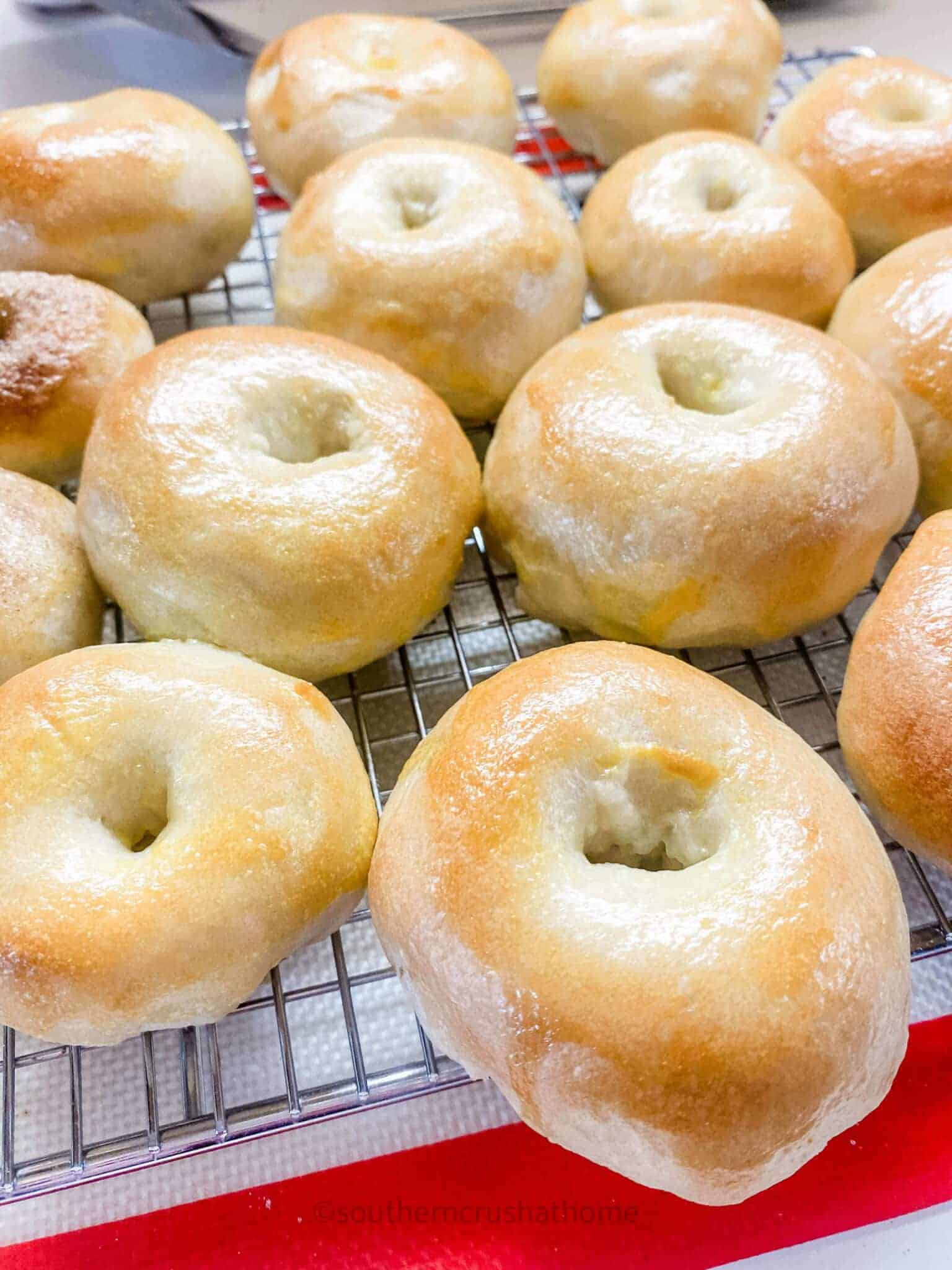 sourdough bagels