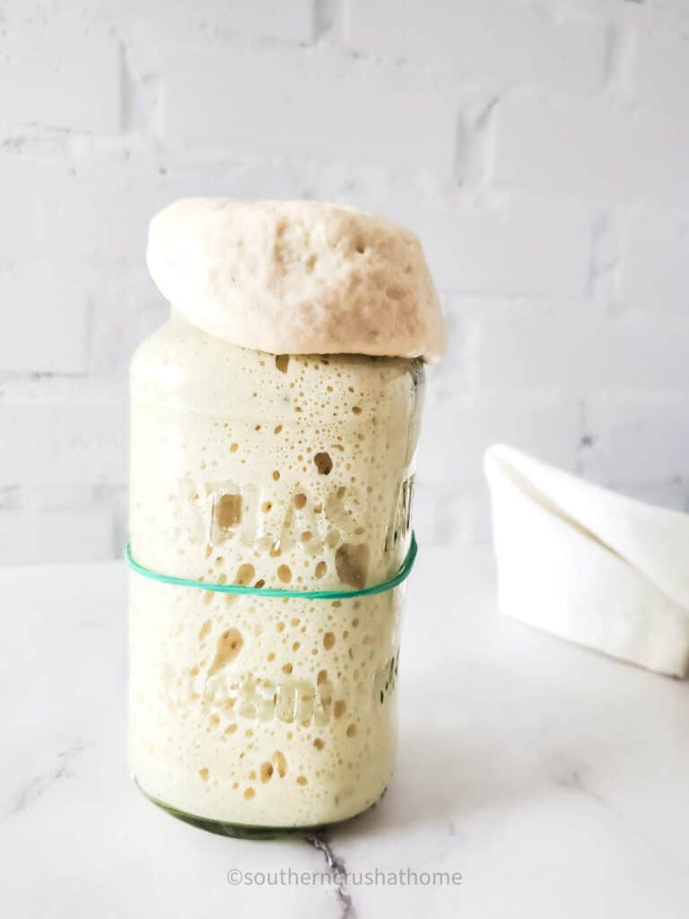 bubbles in sourdough starter