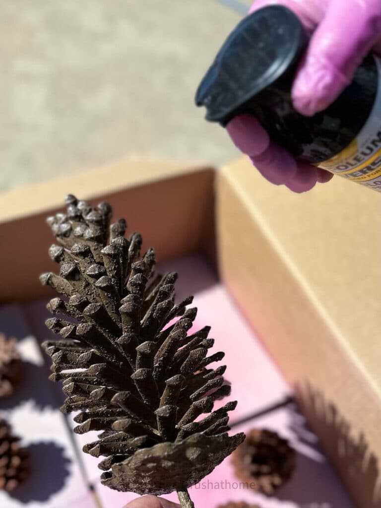 spraypainting a pinecone