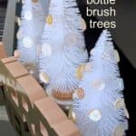 DIY Bottle Brush Trees PIN