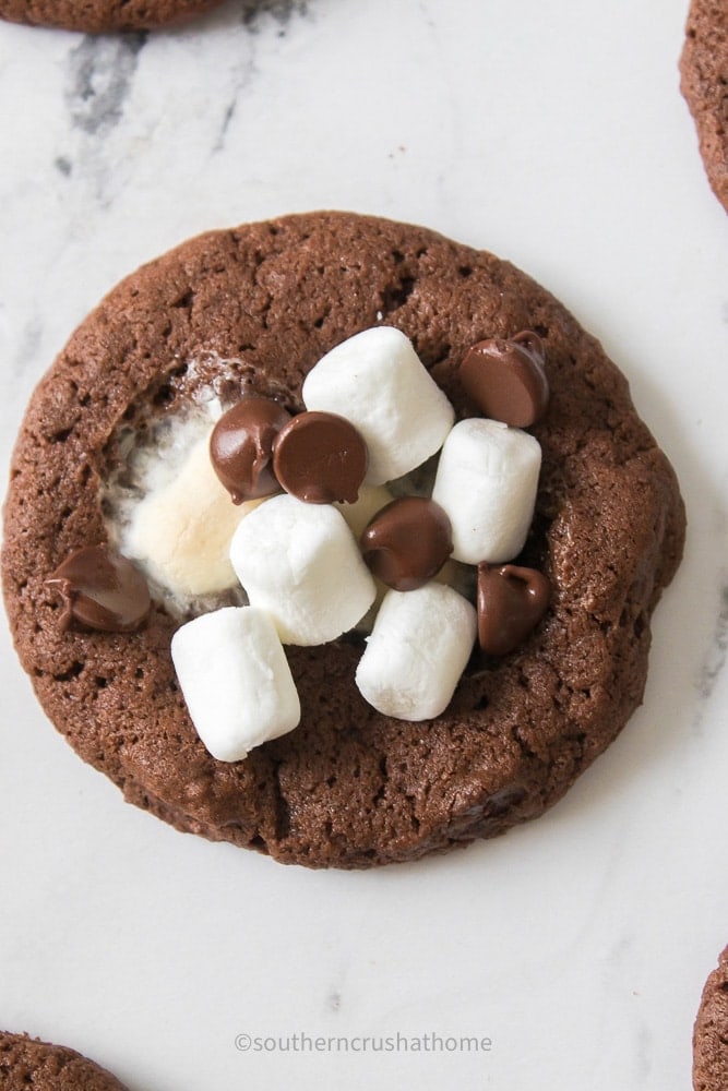 hot cocoa cookie top view