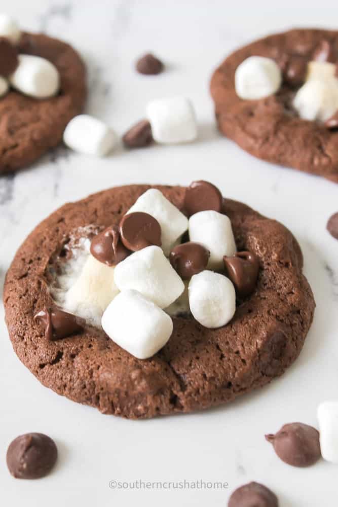 styled hot cocoa cookie